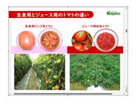トマトジュース２ (668).jpg